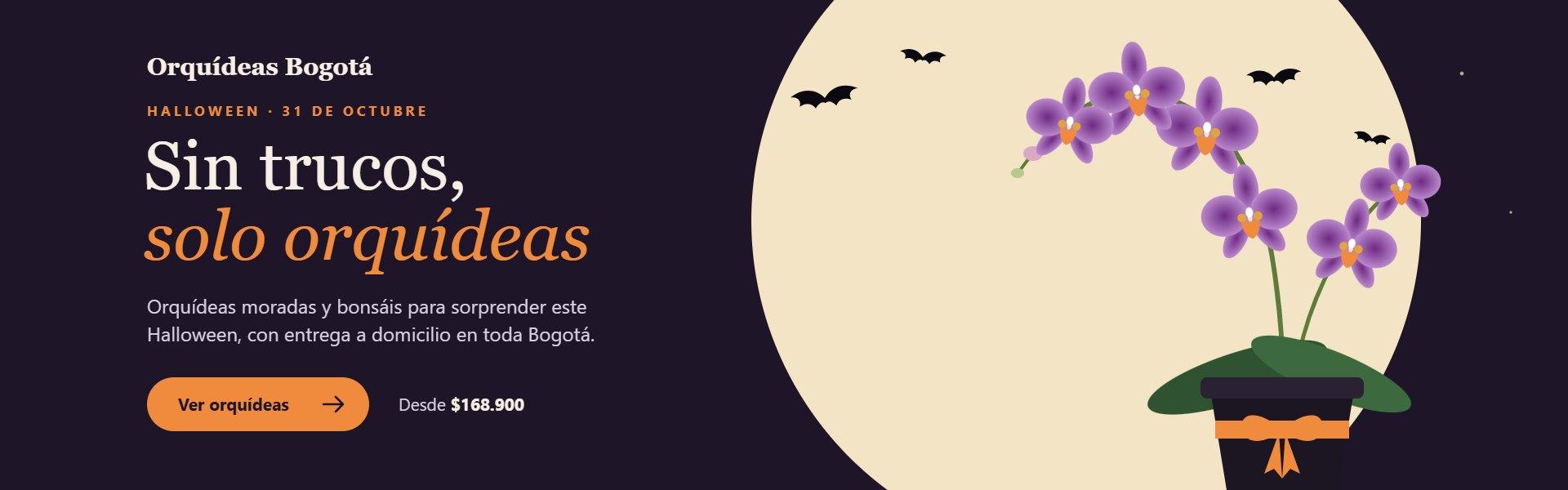 Orquídeas moradas para regalar en Halloween con entrega a domicilio en Bogotá